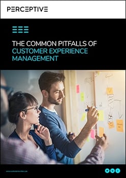 CM-EBK002-The-common-pitfalls-of-Customer-Experience-Management-and-how-to-avoid-them-RE-04.jpg