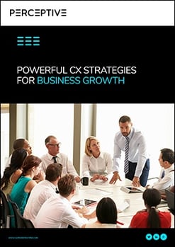 CM-EBK007-Powerful-Leadership-Strategies-for-Business-Growth-through-Customer-Experience-04.jpg